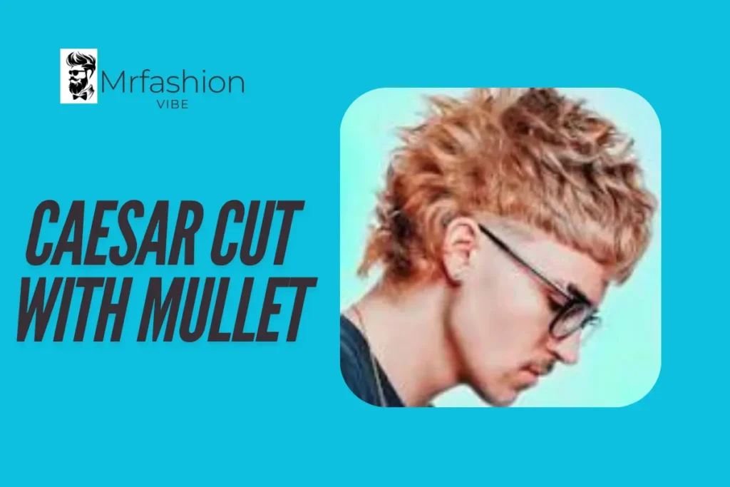 Caesar Cut With Mullet Caesar Cut With Mullet